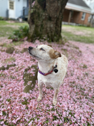 F3838849 85FC 4A09 9DA4 11A087009C19.jpg