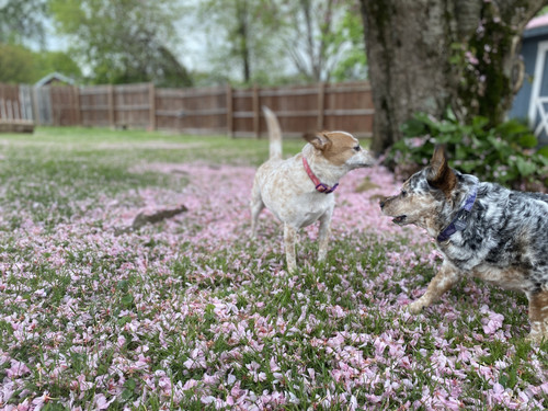 0A67ED52 CF5A 4414 90D4 AE09094489F9.jpg