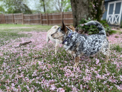 0A10CFB0 8B2A 4E4E 8637 2AAC96D95AD9.jpg