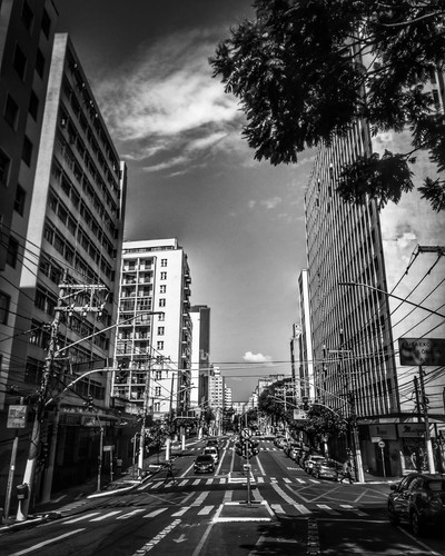 279492273 996487947667586 992392742608170674 n.jpg