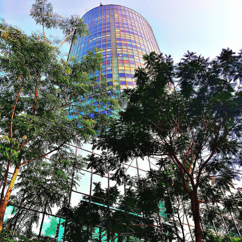 32629868 244497469637732 5816506073888063488 n.jpg