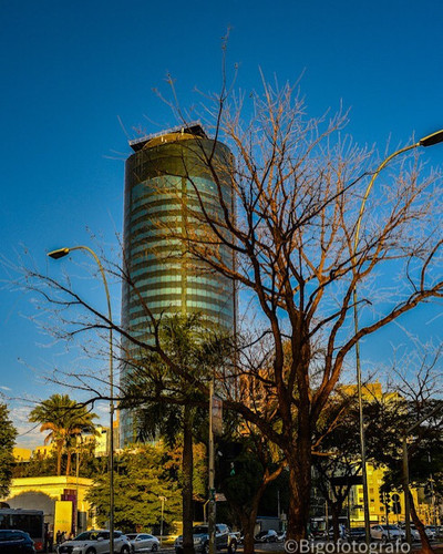 233157258 3088290858073817 570877973716068062 n.jpg