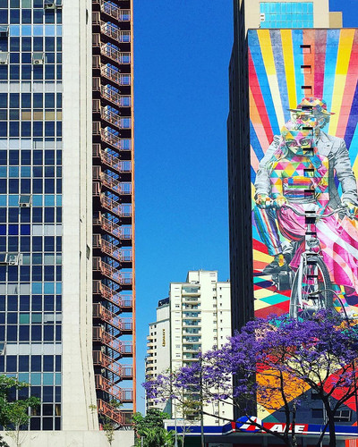 22710851 1975691076041628 749827987674759168 n.jpg