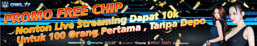 banner promo free chip youtube.jpg