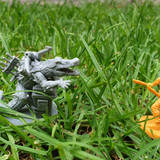 20210517 Crocodrile abomination 006