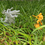 20210517 Crocodrile abomination 952