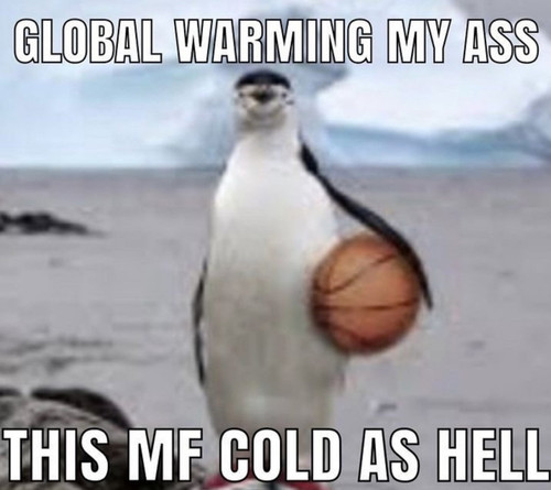 94FF2B45 5691 4E57 8BF2 3452A86FA64F.jpg