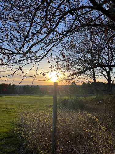 D1669D4F 170C 4CDB ACD3 6B99B0402F56.jpg