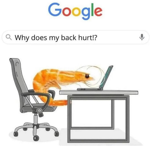 5B3C0166 A941 402E 9DA0 E0F60EA20289.jpg