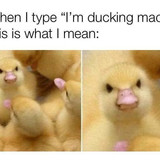 5AF556F8 7308 48B8 B77E 10E0734E1249