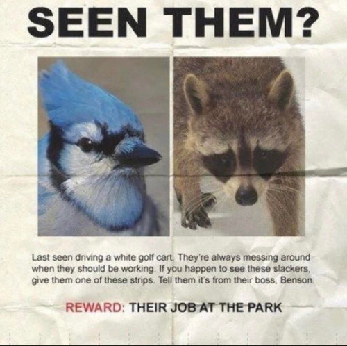 5E17C74F C67E 43C2 AB5C B3C8EBC4A4C7.jpg