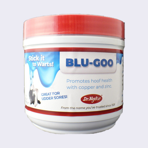 032584945187 BG front.jpg