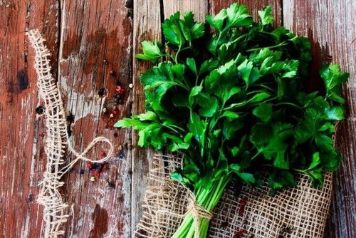 48864830fbf75ba22de4fb6c4c88e734 640x640.jpg