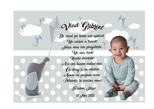 Vlad Gabriel 1 zmeu.jpg