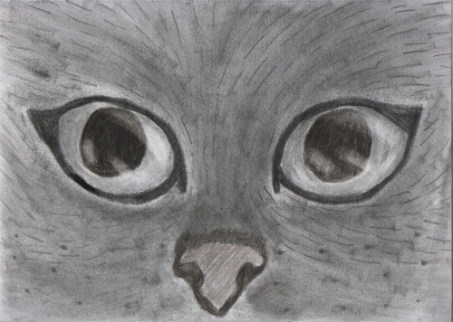 20220326 1134 001.jpg