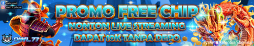 promo banner promo free chip (1).jpg