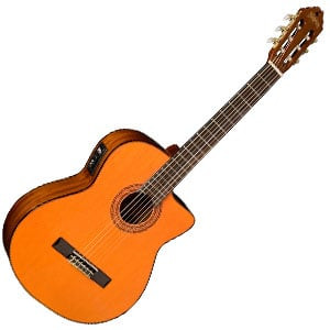 Washburn C5CE 300x300.jpg