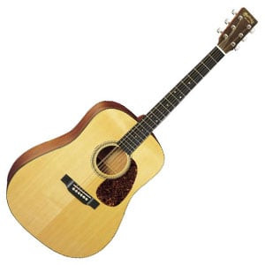 Martin 16 Series D 16GT 300x300.jpg