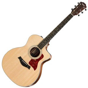 Taylor 214ce DLX 300x300.jpg