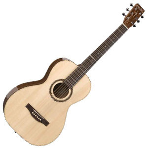 Simon Patrick Woodland Pro 300x300.jpg