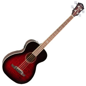 Fender T Bucket 300 300x300.jpg