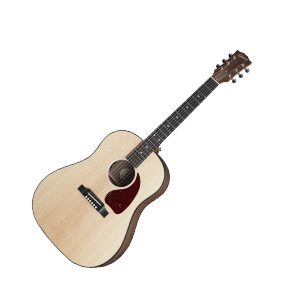 Gibson G 45 300.png
