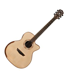 Washburn WCG25SCE 300.png
