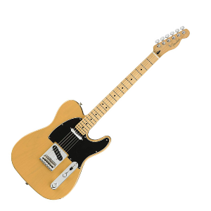 Fender Player Series Telecaster 300.png
