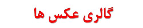 گالری عکس ها.png