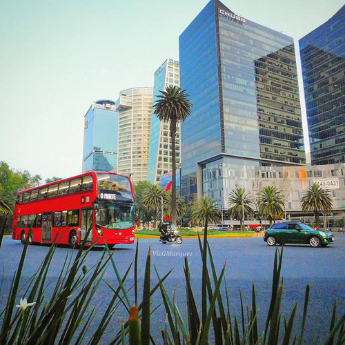 280229364 133983852297503 2303438406875408591 n.jpg