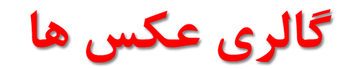 گالری عکس ها.png