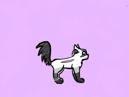 5575D981 B5EB 40FE 9E43 2A5CCD5ADAFA.jpg