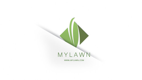 mylawn.jpg