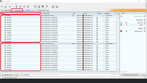 DECRYPTER motherless.com Wrong Folder Name.jpg