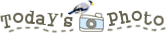 todays photo (3).webp
