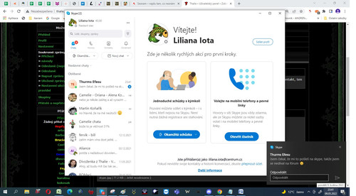 skype 1.jpg