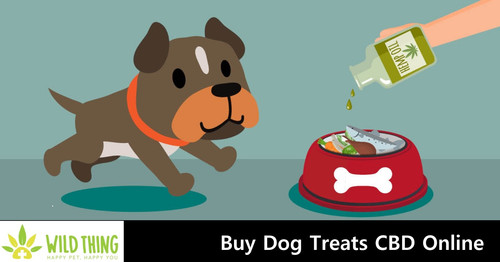 Buy Dog Treats CBD Online.jpg