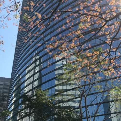 40381044 990859174429615 4137101650551069389 n.jpg