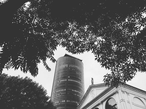 24327965 348958235571998 8177597193050390528 n.jpg