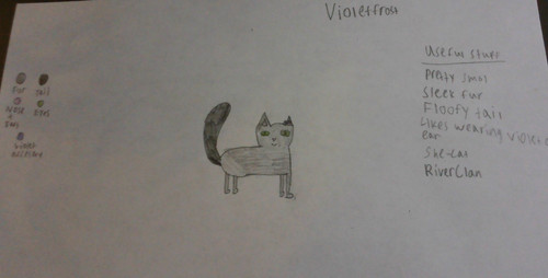 WIN 20220505 19 29 49 Pro (2).jpg