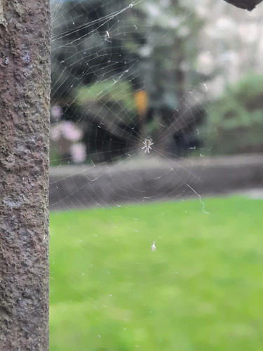 20220418 194312~2.jpg