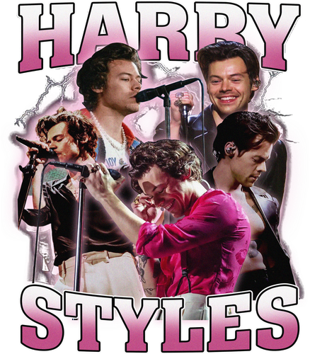 Harry Styles 90s Vintage.png