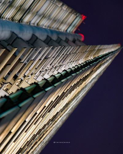 201998438 205571968088334 4961965041349548392 n.jpg