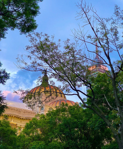 258071886 272873188110057 7302906362889018729 n.jpg