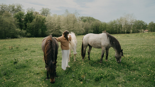 photo 1651241802290 9fb7158ad07c.jpg