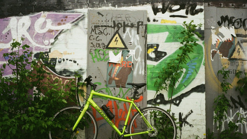 photo 1649664724834 ad153f5cfed2.jpg