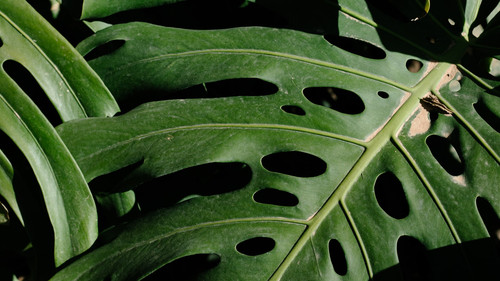 photo 1649776520304 511a236555fd.jpg