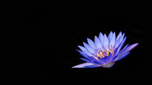 photo 1651138718222 45478b9e854b.jpg