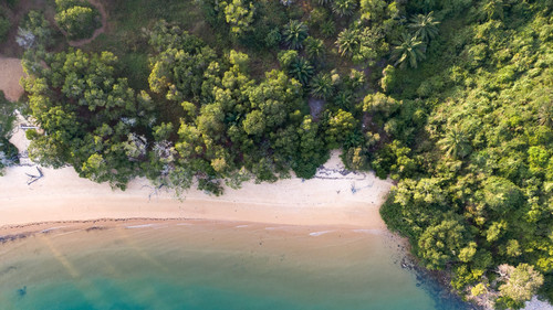 photo 1586184059891 09ad2a30f3ce.jpg