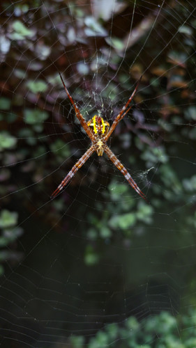 IMG 20220204 134634.jpg